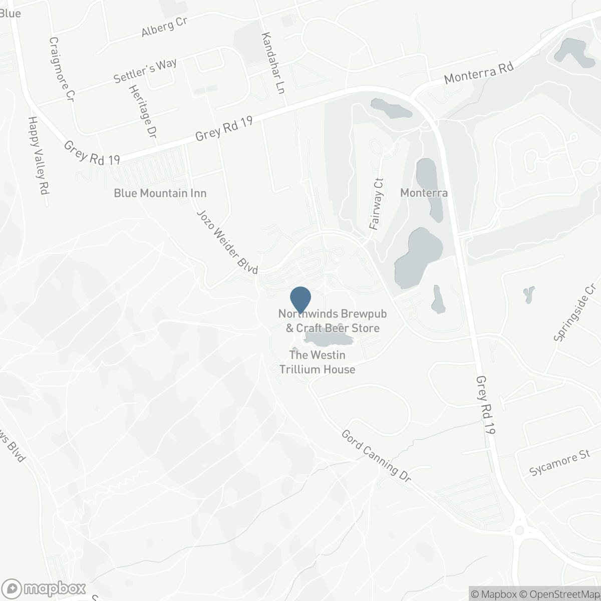 219 - 170 JOZO WEIDER BOULEVARD, The Blue Mountains, Ontario L9Y 0V2